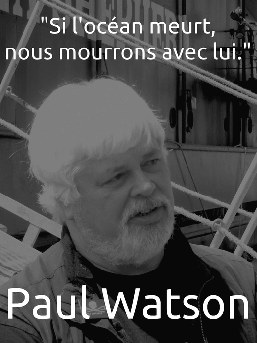 image aléatoire